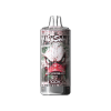 Watermelon Ice